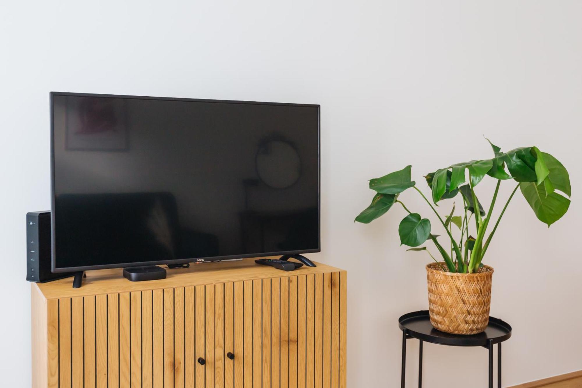 Apartment Brand Cozy